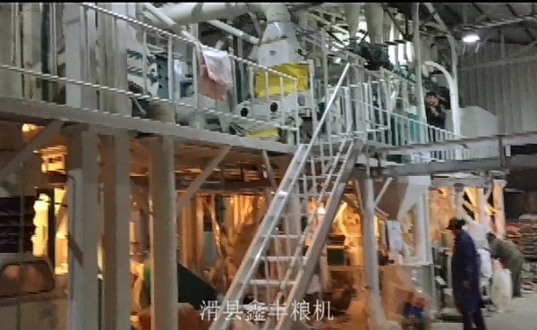 吉林伊通50噸級(jí)玉米加工設(shè)備視頻